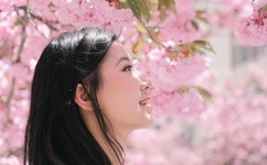 11日11夜百度影音